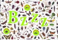 Bzzz… Wat krioelt daar allemaal rond?