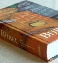Leestip van de Paus: de Bijbel als vakantieboek