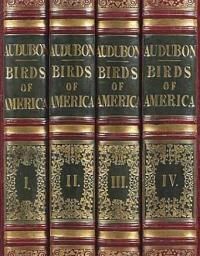 Vogelboek van Audubon opnieuw geveild