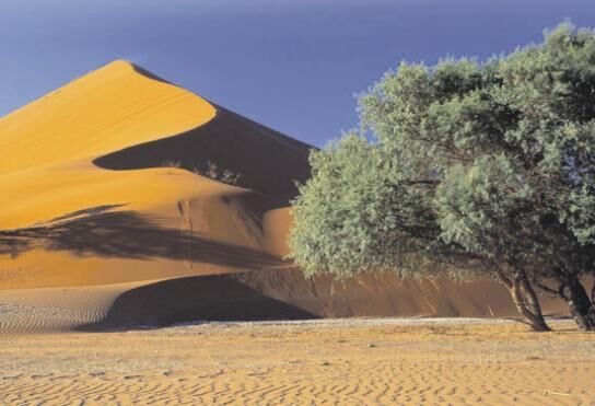 Namibië verschenen in reisgidsenserie Insight Guides