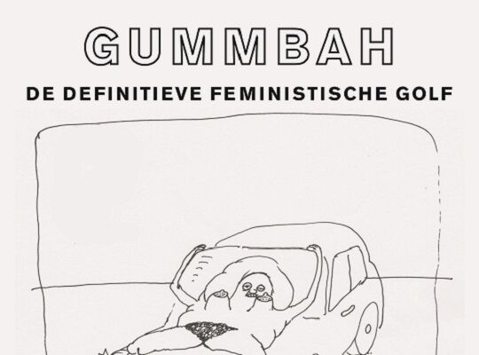 Boekfragment: De definitieve feministische golf