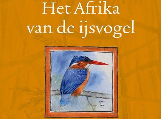 Boekfragment: Het Afrika van de ijsvogel