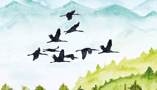 Boekfragment: Alleen de vogels vliegen 