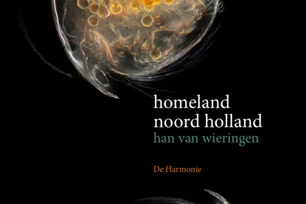 Boekenfragment: Homeland naar Holland